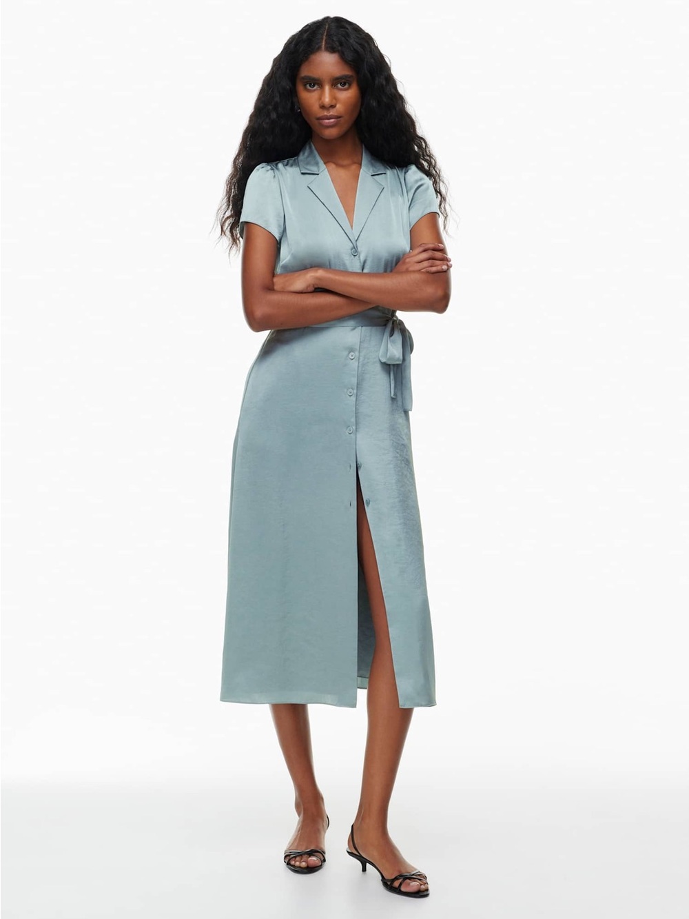 Aritzia Button-Front Dress
